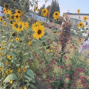 Meet your Posher, Ashlyn